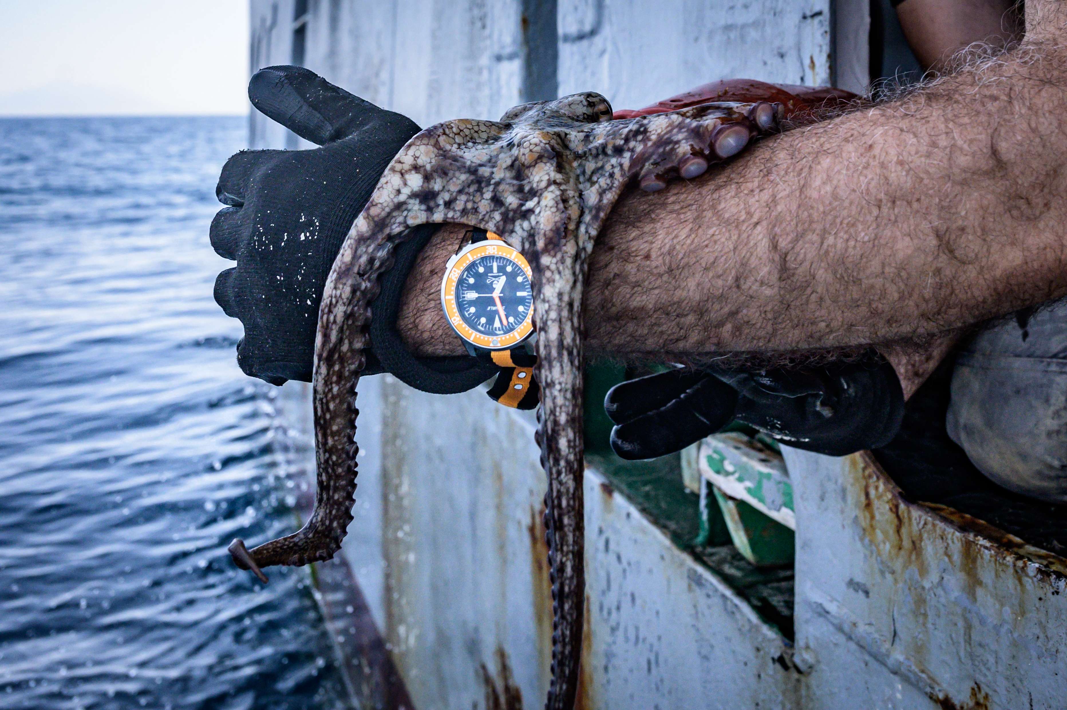 SQUALE SEA MATIC-S ORANGE HYDROLEATHER DATE